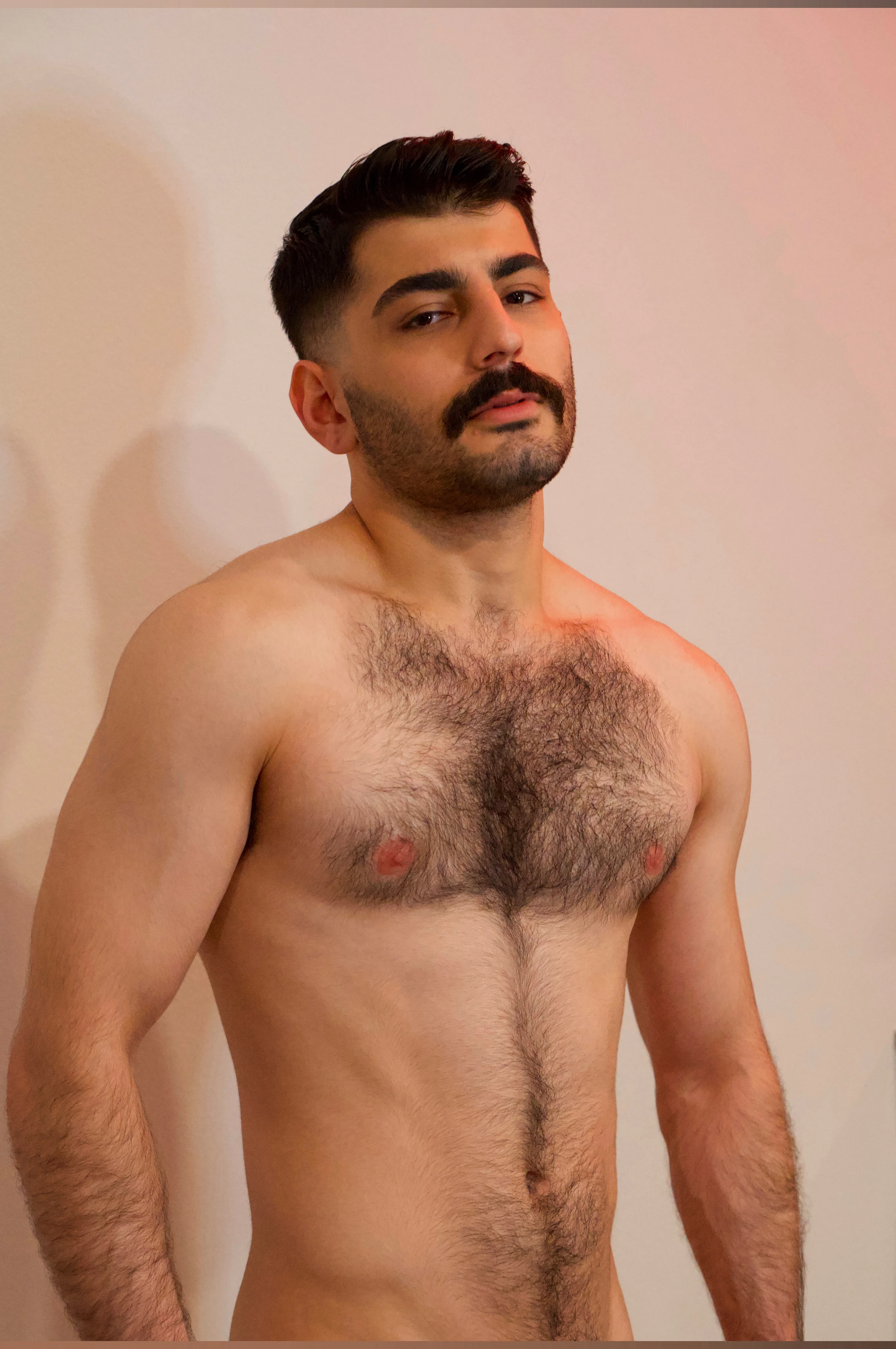 Zayn hawk @zaynhawk1 profile picture